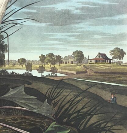 John James Audubon makes a rare appearance in this print of the Snowy Heron White Egret